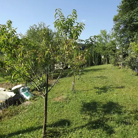Chez Gerard Champigneulles